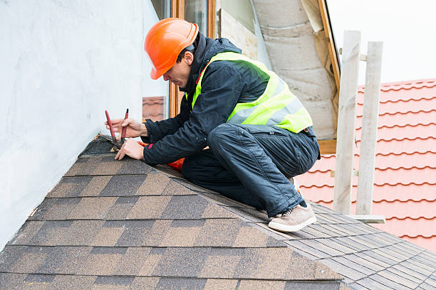 Roof Gutter Cleaning in Buckley, WA