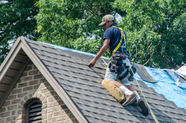Best New Roof Installation  in Buckley, WA